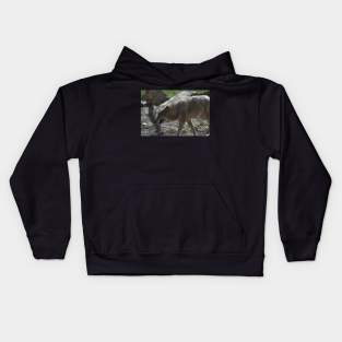 Wolf Kids Hoodie